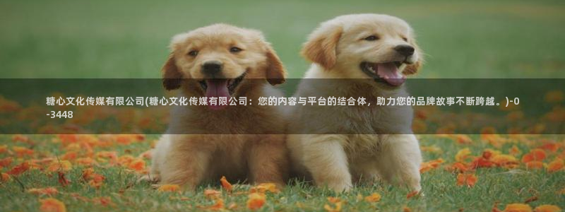 糖心vlog网址入口