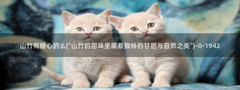 心糖vlog免费在线观看
