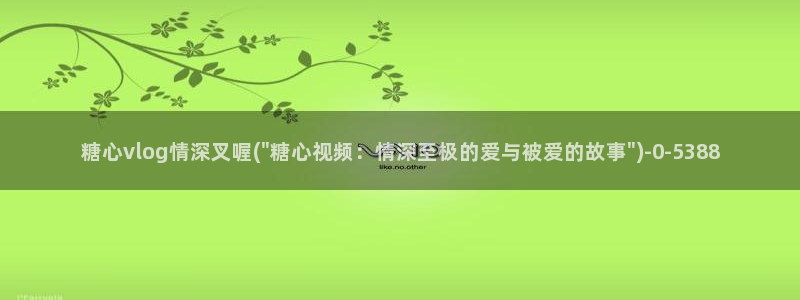 糖心短视频vlog