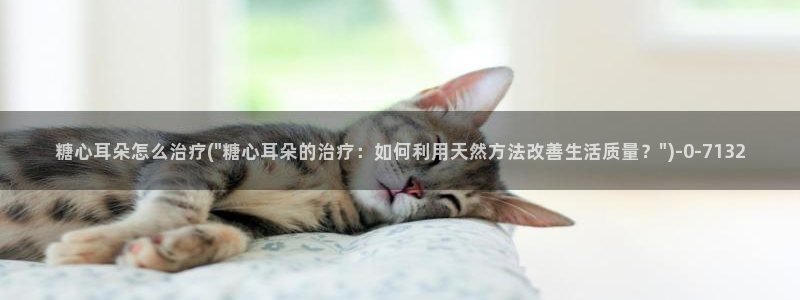 91糖心vlog下载